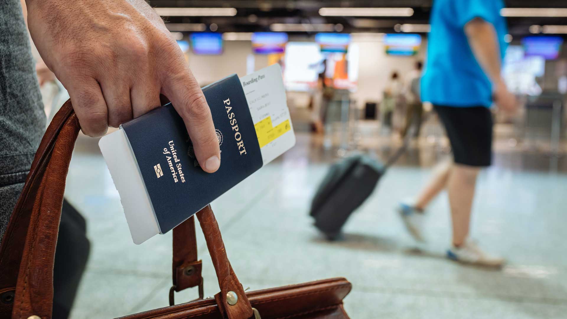 Study abroad destination and consultancy services